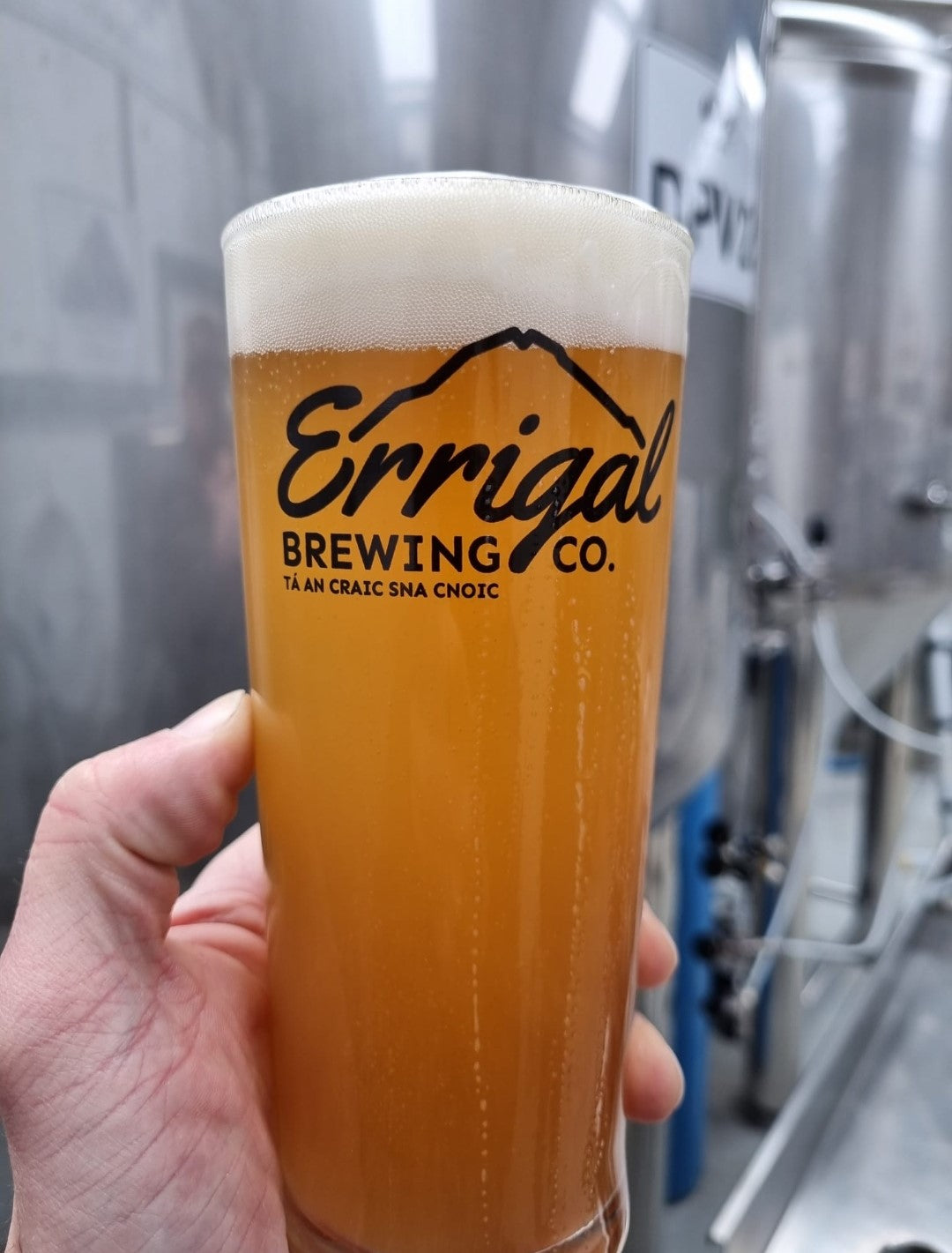 6 Errigal Pint Glass bundle